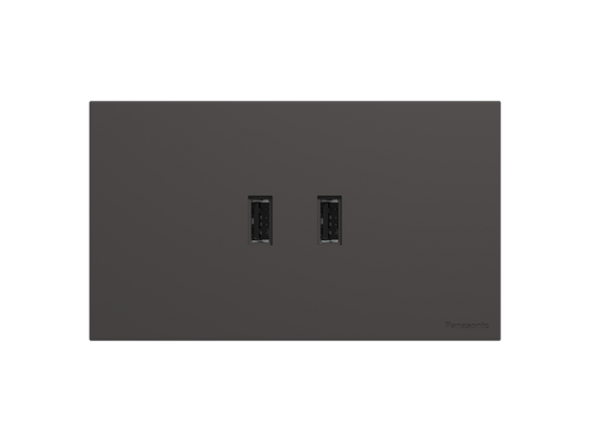 partio ( Gray ) - 13